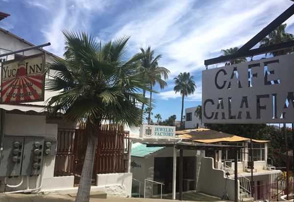 Café Calafia — photograph 11
